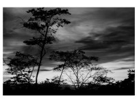 David Díaz_ Atardecer, fotografía, 60 x 45 cm.